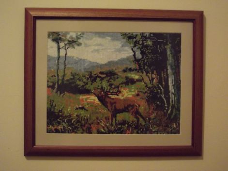 dscf3865.jpg