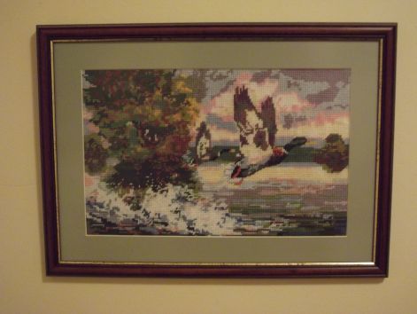 dscf3867.jpg